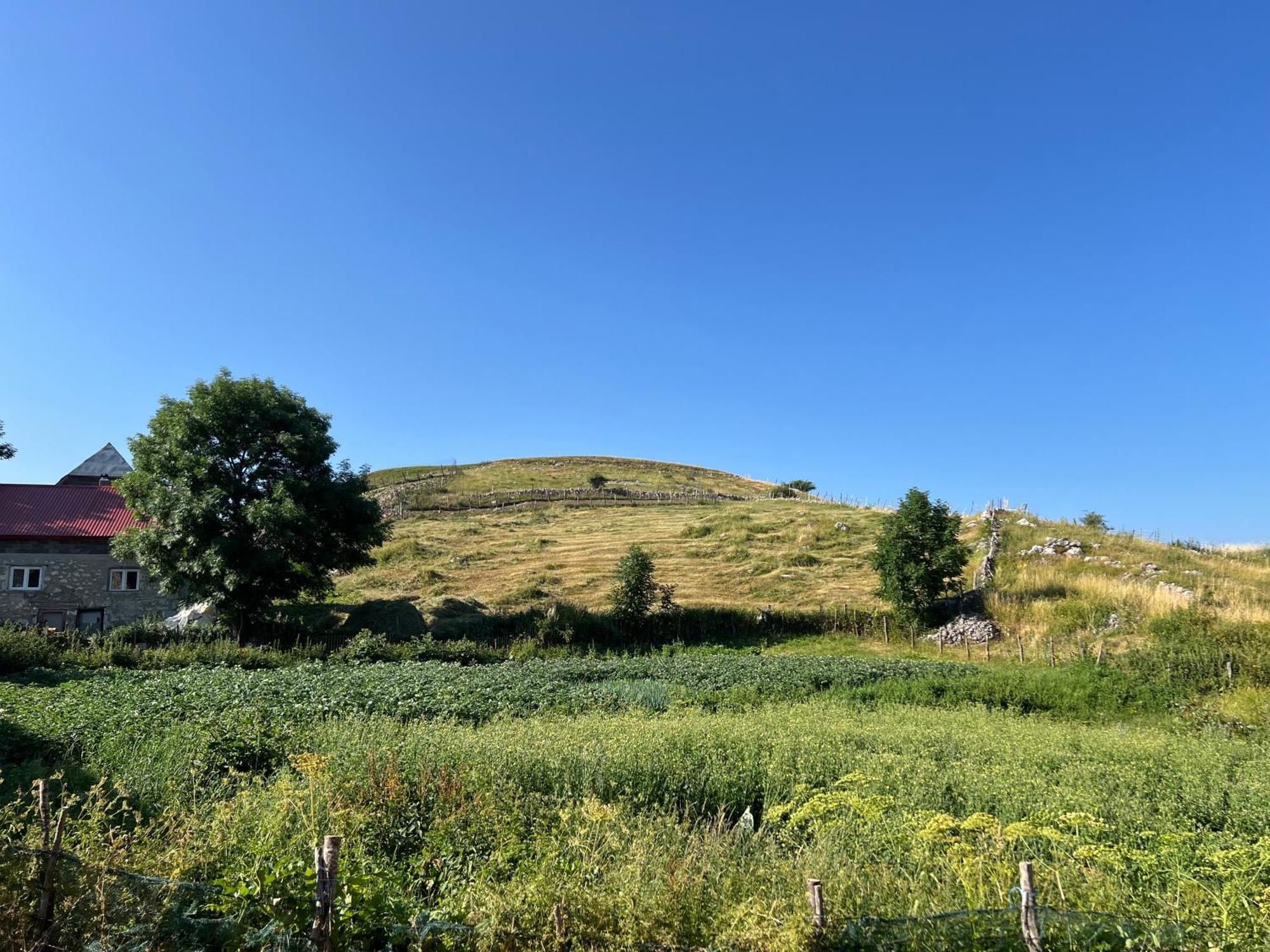 Kod Kapetana Tea Bed & Breakfast Gornji Lukomir Dış mekan fotoğraf